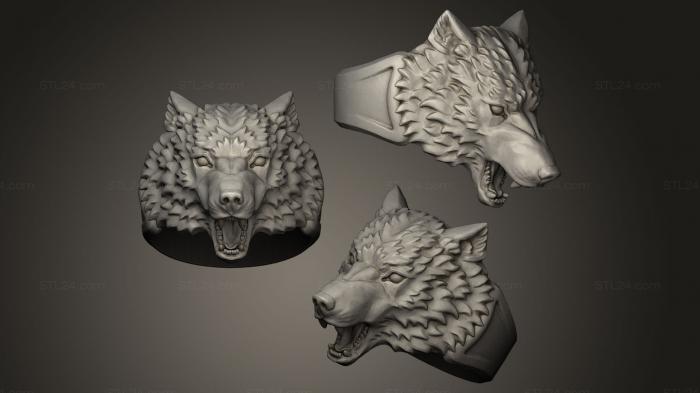 Jewelry rings (Wolf Head ring, JVLRP_0054) 3D models for cnc